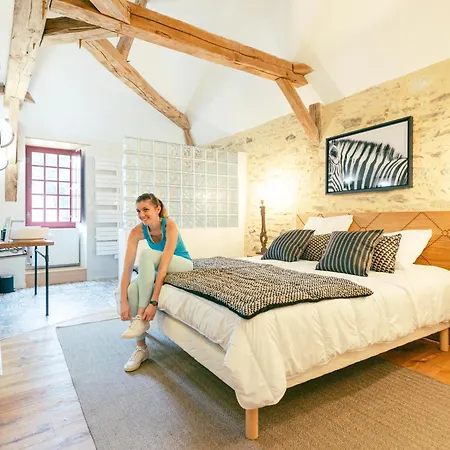 Château Historique Avec Jardin, Et Salle De Sport, Idéal Pour Séminaires Ou Séjours Détente - Fr-1-426-516