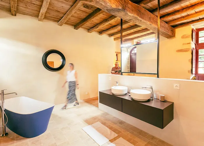 Chateau Historique Avec Jardin, Et Salle De Sport, Ideal Pour Seminaires Ou Sejours Detente - Fr-1-426-516